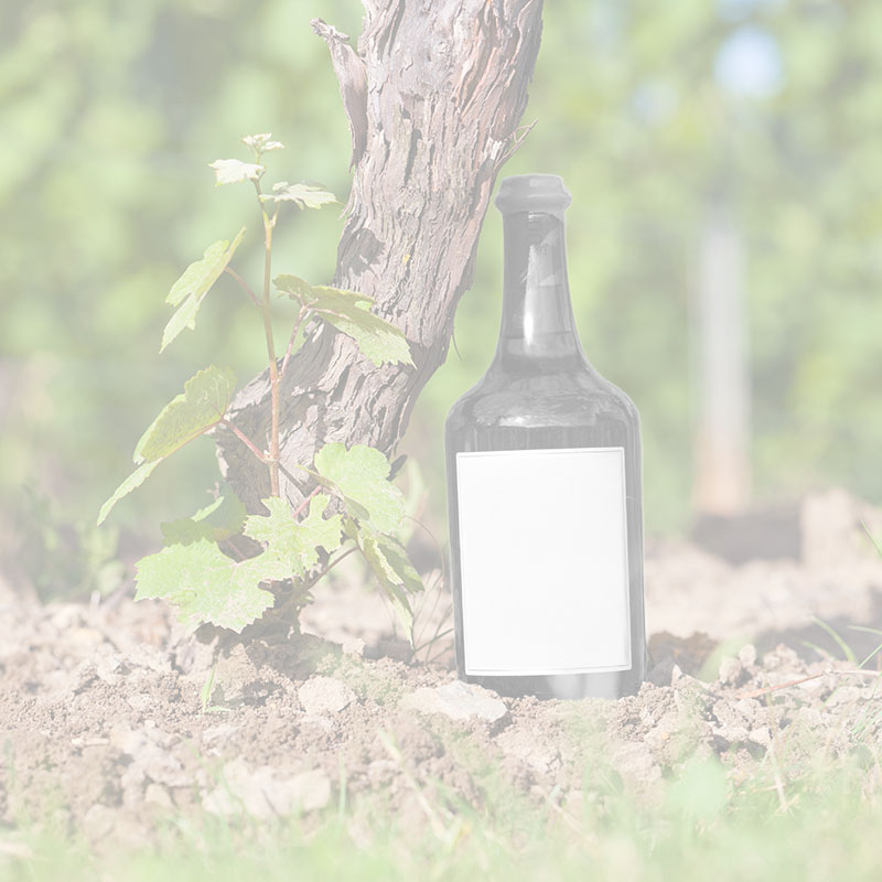 Image de remplacement